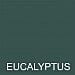 Sugarin Icing Color Gel Eucalyptus 25gms