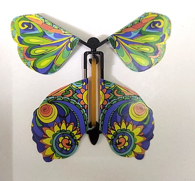 Flying Butterfly