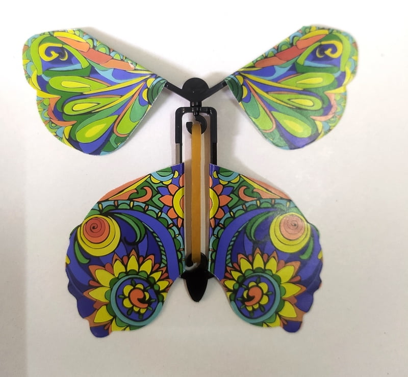Flying Butterfly Flying Butterfly