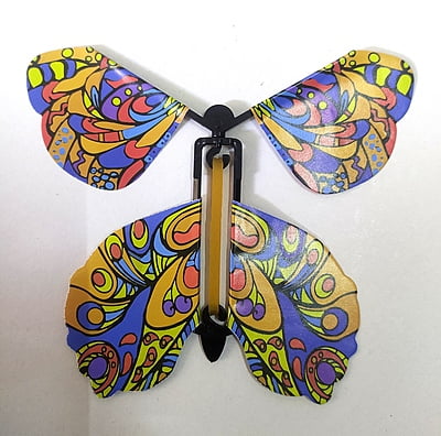 Flying Butterfly Flying Butterfly