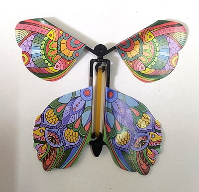 Flying Butterfly Flying Butterfly